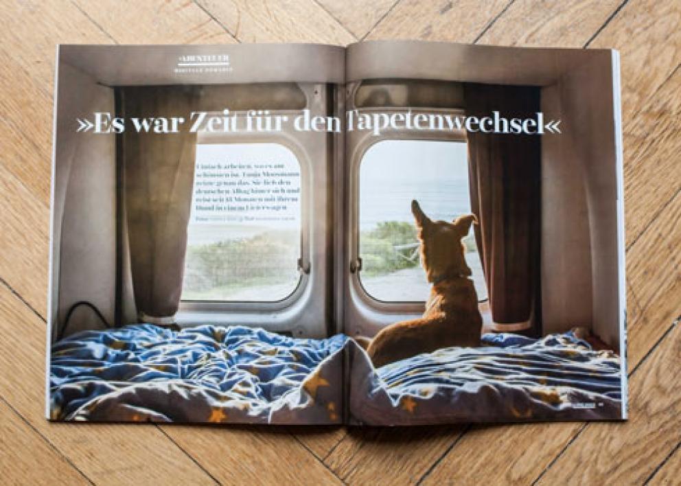 Dogs Magazin 01/2017